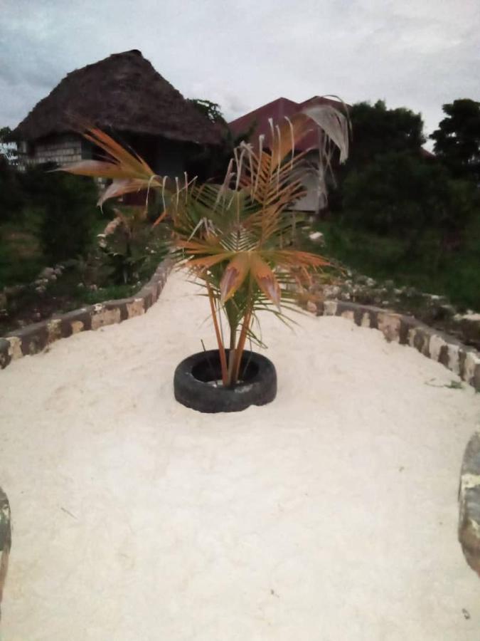 Marashi Villa Nungwi Extérieur photo