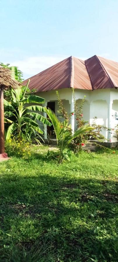 Marashi Villa Nungwi Extérieur photo